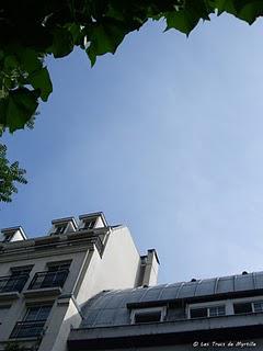 Les toits en zinc de Paris