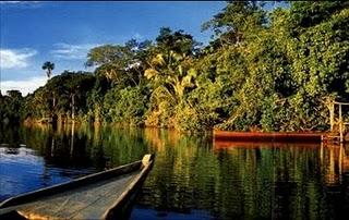 Voyage et Tourisme au Pérou – La forêt amazonienne, Pérou