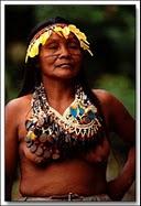 Voyage et Tourisme au Pérou – Indigène Shipivos de l’Amazonie, Pérou 