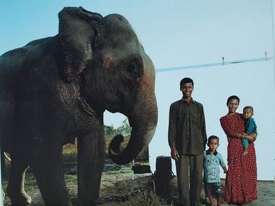 └►Au respect des droits de l’homme