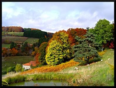 Couleurs d’automne