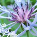 Soin douceur contour de l’oeil