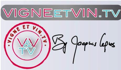 logo_vigneetvin