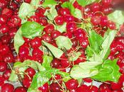 temps cerises ......