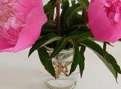 ...Les yeux rivés Jardin depuis momentJe