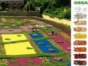 couleur jardin&#8230;