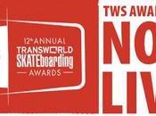 Resultats TransWorld SKATEboarding Awards 2010