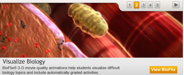 Capture d’écran 2010-06-16 à 09.58.50