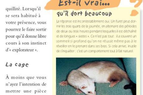 [News : Apps] Mon furet : le guide pour les enfants
