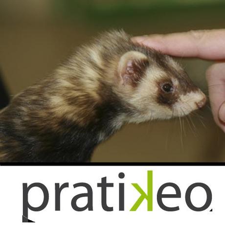 [News : Apps] Mon furet : le guide pour les enfants