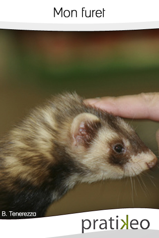 [News : Apps] Mon furet : le guide pour les enfants