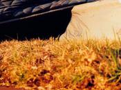 CARLOS MERVEILLEUX Carlos Gaby Happy Summer Solstice