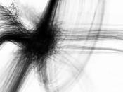 Parce j’aime toujours videos bizarres