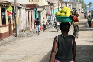 Petit voyage en tortue