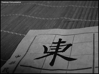 書法 (shu fa) - Calligraphie