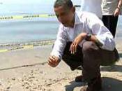 Marée noire “Jerrican” Life d’Obama