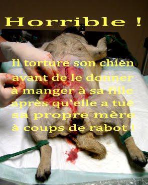 la société mercantile et spectaculaire la société mercantile et spectaculaire