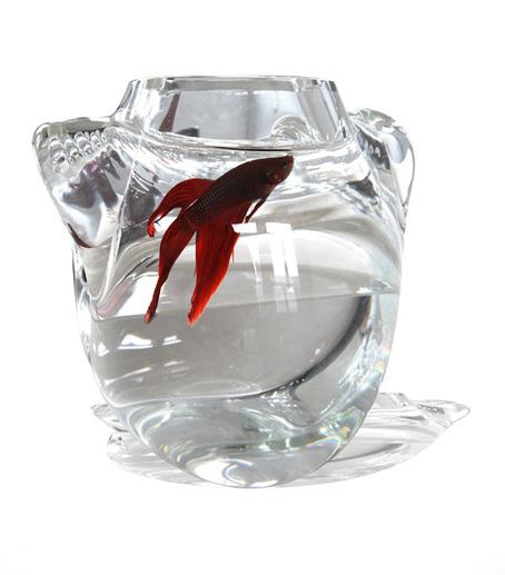 Bold Shapes de Bold Design - 1