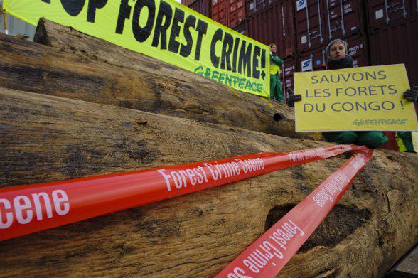 L’Europe prend enfin la décision de bannir le bois illégal