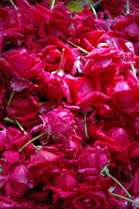 « Du Nez au Palais » : Un Blog à Découvrir