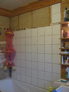 L'herbe, les arbres, les haies, le potager... les plantes...