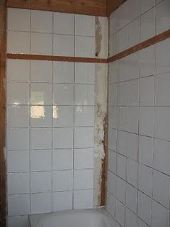 L'herbe, les arbres, les haies, le potager... les plantes...