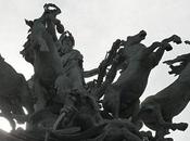 Etalon Noir Crin blanc