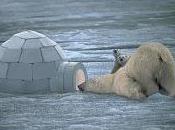 Lorsque l'inattendu devient priorité