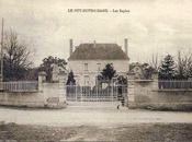 SAPINS cette petite fille avec ch...