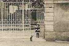 ..- LES SAPINS -.. Qui est cette petite fille avec son ch...