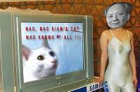 La chine rejoint la communauté civilisée !!!!!