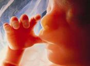 L’instant (Charles Juliet)