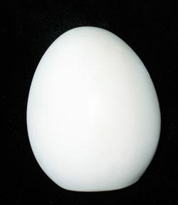 L’œuf catalytique