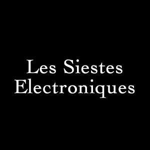 Les Siestes Electroniques 2010 | 23-27 juin | Toulouse
