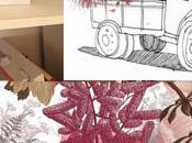 Beau voyage l’illustrateur Samuel ribeyron