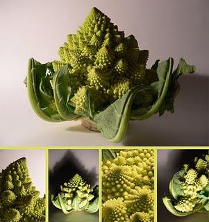 Des légumes ordinaires avec Joshin Luce Bachoux