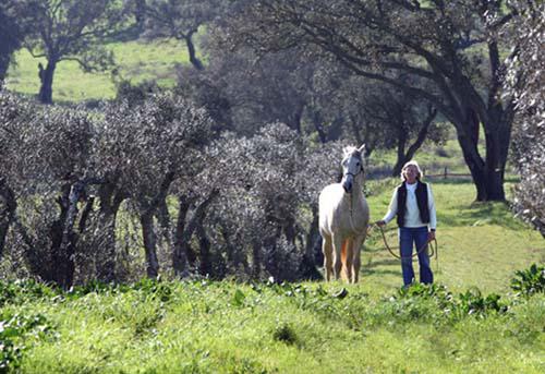 Ann Kenny et son cheval