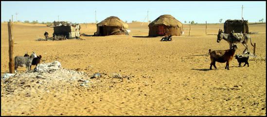 ouzbekistan-desert.1275988579.jpg
