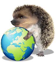 Pollution ? Je passe l’éponge !