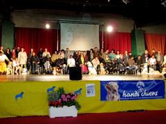 Handi’chiens : 4 pattes, deux coeurs contre la fatalité