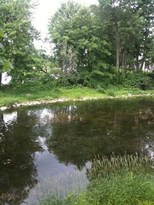 Photo twitter du jour...