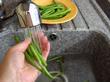 laver le haricot vert