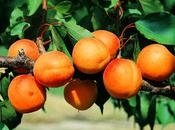 écrire soleil (Marc Baron)