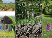 lavières Champlitte: sentiers découvertes promenades famille