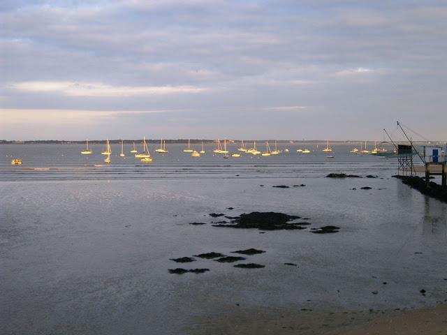 MUSIQUES AU BORD DE l'EAU