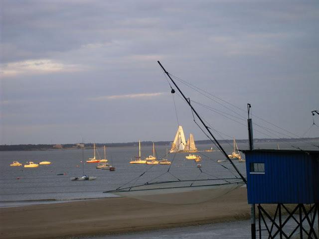 MUSIQUES AU BORD DE l'EAU