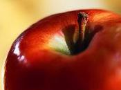 L'adieu d'un pépin serein