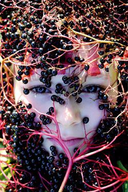 Je crée mes peintures végétales