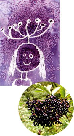 Je crée mes peintures végétales