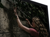 Test Sony KDL-52NX800